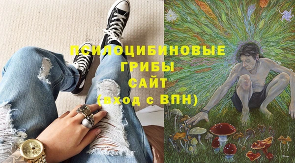 ПСИЛОЦИБИНОВЫЕ ГРИБЫ Балахна